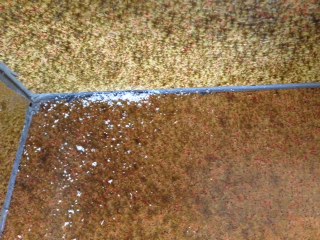 BAU.DE / BAU-Forum: 1. Bild zu Frage "Wei&szlig;e Ausbl&uuml;hungen an Silikonfugen: Ursachen, Entfernung & Vorbeugung?" im BAU-Forum "Estrich und Bodenbel&auml;ge"