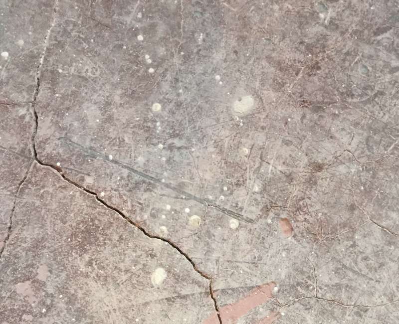 BAU.DE / BAU-Forum: 2. Bild zu Frage "Asbest in Estrich ca. Baujahr 1960?" im BAU-Forum "Estrich und Bodenbeläge" BAU.DE / BAU-Forum: 2. Bild zu Frage "Asbest in Estrich ca. Baujahr 1960?" im BAU-Forum "Estrich und Bodenbeläge"