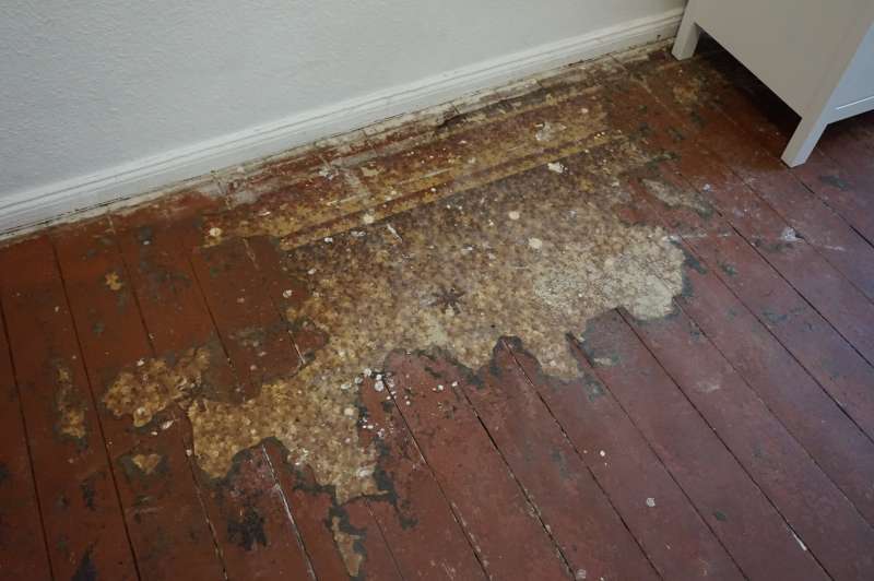 BAU.DE / BAU-Forum: 1. Bild zu Frage "Asbest im alten Bodenkleber? Erkennung, Gefahren & Sanierung in Altbau-Mietwohnungen" im BAU-Forum "Estrich und Bodenbel&auml;ge"