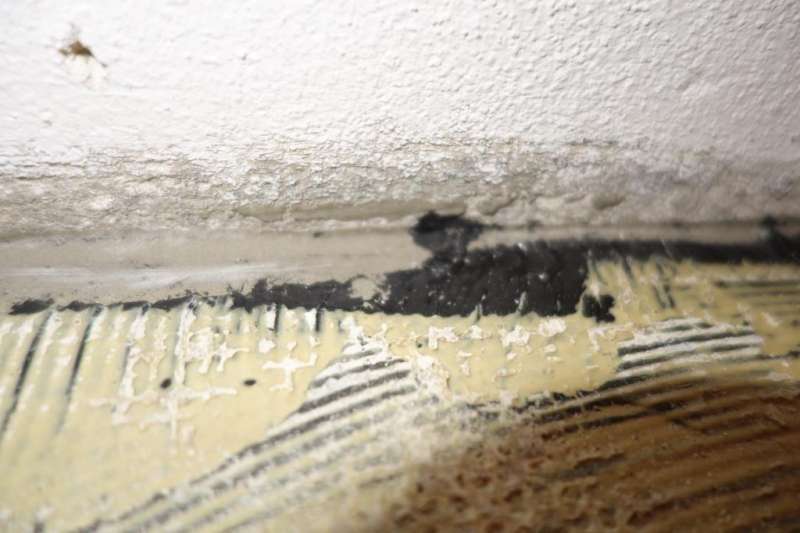 BAU.DE / BAU-Forum: 3. Bild zu Frage "Untergrund für Teppichboden" im BAU-Forum "Estrich und Bodenbeläge" BAU.DE / BAU-Forum: 3. Bild zu Frage "Untergrund für Teppichboden" im BAU-Forum "Estrich und Bodenbeläge"