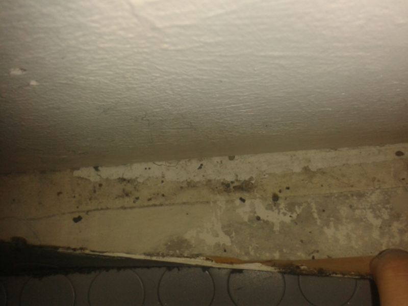 BAU.DE / BAU-Forum: 2. Bild zu Frage "Zwischen Dielenboden und PVC-Belag: Welches Material ist das?" im BAU-Forum "Estrich und Bodenbeläge" BAU.DE / BAU-Forum: 2. Bild zu Frage "Zwischen Dielenboden und PVC-Belag: Welches Material ist das?" im BAU-Forum "Estrich und Bodenbeläge"