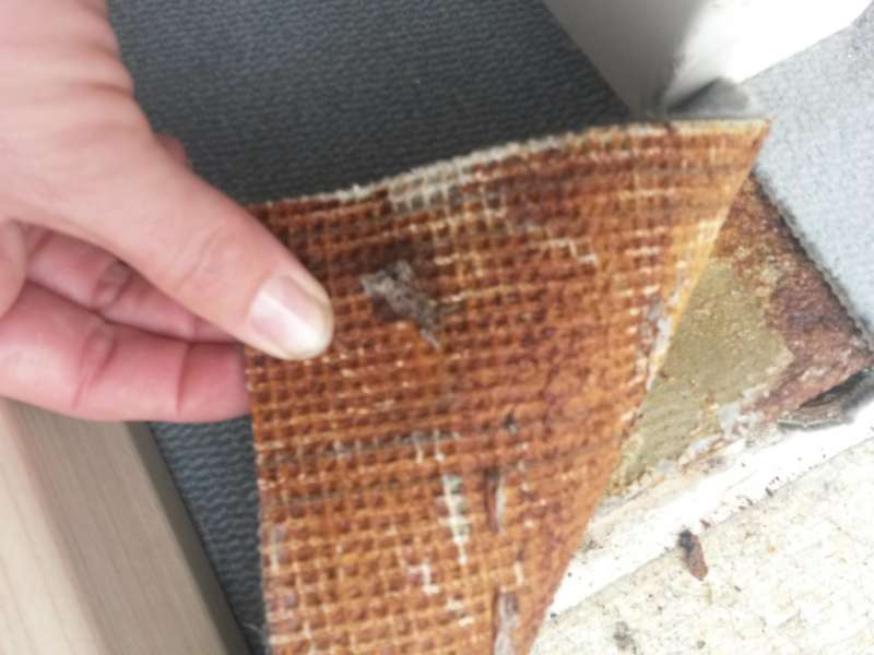 BAU.DE / BAU-Forum: 1. Bild zu Frage "Alter gelber Teppichkleber schwarz verf&auml;rbt?" im BAU-Forum "Estrich und Bodenbel&auml;ge"