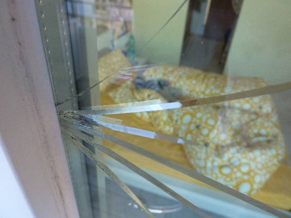 BAU.DE / BAU-Forum: 1. Bild zu Frage "Glasscheibe gerissen: Ursachenforschung - Spannungsriss, Hitzeriss oder Materialfehler?" im BAU-Forum "Fenster und Au&szlig;ent&uuml;ren"