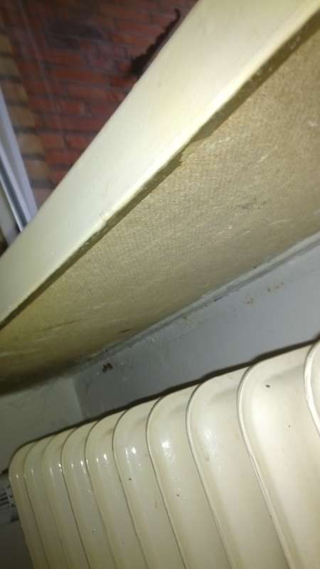 BAU.DE / BAU-Forum: 1. Bild zu Frage "Asbestpappe unter Fensterbank?" im BAU-Forum "Fenster und Au&szlig;ent&uuml;ren"