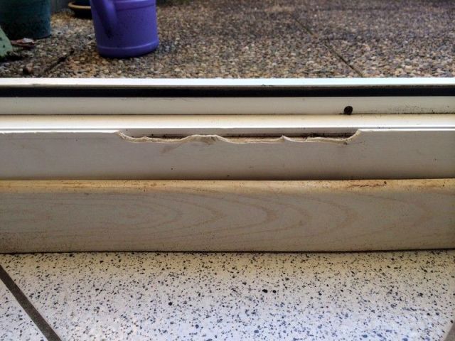 BAU.DE / BAU-Forum: 1. Bild zu Frage "Beschädigung an Fensterrahmen reparabel?" im BAU-Forum "Fenster und Außentüren" BAU.DE / BAU-Forum: 1. Bild zu Frage "Beschädigung an Fensterrahmen reparabel?" im BAU-Forum "Fenster und Außentüren"