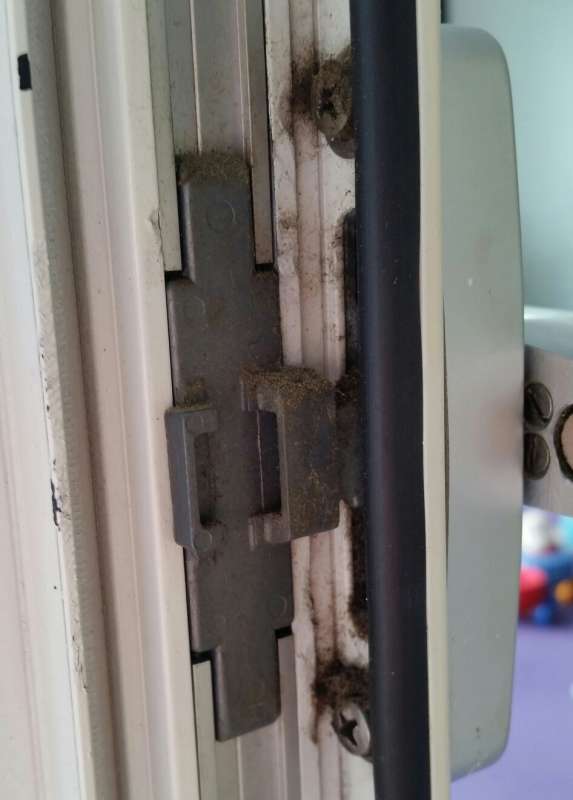 BAU.DE / BAU-Forum: 1. Bild zu Frage "was sind das für Türen?" im BAU-Forum "Fenster und Außentüren" BAU.DE / BAU-Forum: 1. Bild zu Frage "was sind das für Türen?" im BAU-Forum "Fenster und Außentüren"