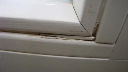 BAU.DE / BAU-Forum: 1. Bild zu Frage "Eigentumswohnung Abnahme: Checkliste, M&auml;ngelprotokoll & Rechte bei Baum&auml;ngeln?" im BAU-Forum "Fenster und Au&szlig;ent&uuml;ren"