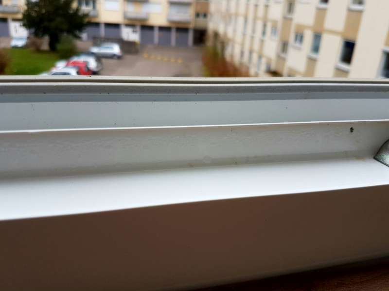 BAU.DE / BAU-Forum: 1. Bild zu Frage "Hallo, Ich habe folgendes Problem: Im..." im BAU-Forum "Fenster und Au&szlig;ent&uuml;ren"