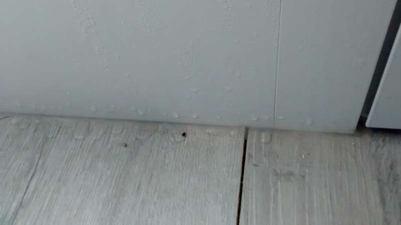 BAU.DE / BAU-Forum: 4. Bild zu Frage "Kondenswasser an Aluminium-Haust&uuml;r" im BAU-Forum "Fenster und Au&szlig;ent&uuml;ren"