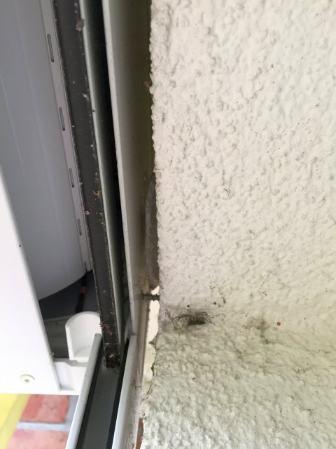 BAU.DE / BAU-Forum: 1. Bild zu Antwort "Ja, es ist alles genietet. Die Nieten..." auf die Frage "Rollladen Seitenf&uuml;hrung l&ouml;st sich: Ursachen, Reparatur & Befestigungsmethoden?" im BAU-Forum "Fenster und Au&szlig;ent&uuml;ren"