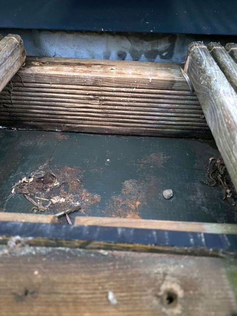 BAU.DE / BAU-Forum: 2. Bild zu Antwort "Wasser innen" auf die Frage "Holz-Alu-Fenster: Undichte Dichtung reparieren &ndash; Ursachen, Kosten & DIY-Anleitung?" im BAU-Forum "Fenster und Au&szlig;ent&uuml;ren"