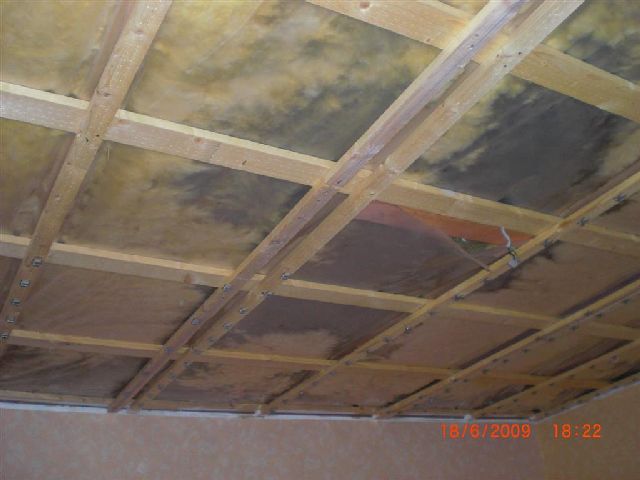 BAU.DE / BAU-Forum: 1. Bild zu Frage "Fingerhuthaus Baujahr. 1992, Dampfsperre am Rand und bei Kabeldurchführungen nicht abgedichtet, Schimmelbildung" im BAU-Forum "Fertighaus" BAU.DE / BAU-Forum: 1. Bild zu Frage "Fingerhuthaus Baujahr. 1992, Dampfsperre am Rand und bei Kabeldurchführungen nicht abgedichtet, Schimmelbildung" im BAU-Forum "Fertighaus"