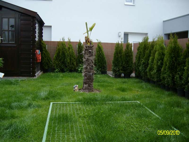 BAU.DE / BAU-Forum: 1. Bild zu Frage "Versickerungsmulde abdecken: Gitter, Bepflanzung & Sicherheit für Kinder/Tiere?" im BAU-Forum "Rund um den Garten" BAU.DE / BAU-Forum: 1. Bild zu Frage "Versickerungsmulde abdecken: Gitter, Bepflanzung & Sicherheit für Kinder/Tiere?" im BAU-Forum "Rund um den Garten"