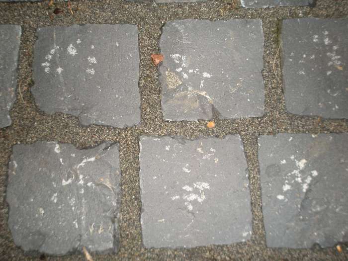 BAU.DE / BAU-Forum: 1. Bild zu Antwort "Mit Foto!" auf die Frage "Basaltpflaster verlegen: Hammerspuren vermeiden – Ursachen, Werkzeug & Profi-Tipps" im BAU-Forum "Rund um den Garten" BAU.DE / BAU-Forum: 1. Bild zu Antwort "Mit Foto!" auf die Frage "Basaltpflaster verlegen: Hammerspuren vermeiden – Ursachen, Werkzeug & Profi-Tipps" im BAU-Forum "Rund um den Garten"