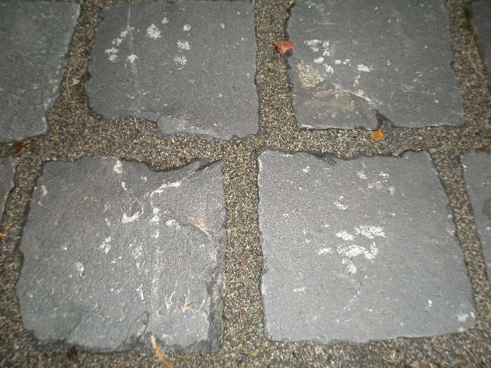 BAU.DE / BAU-Forum: 1. Bild zu Antwort "PS: Die gelieferte Ware war..." auf die Frage "Basaltpflaster verlegen: Hammerspuren vermeiden – Ursachen, Werkzeug & Profi-Tipps" im BAU-Forum "Rund um den Garten" BAU.DE / BAU-Forum: 1. Bild zu Antwort "PS: Die gelieferte Ware war..." auf die Frage "Basaltpflaster verlegen: Hammerspuren vermeiden – Ursachen, Werkzeug & Profi-Tipps" im BAU-Forum "Rund um den Garten"