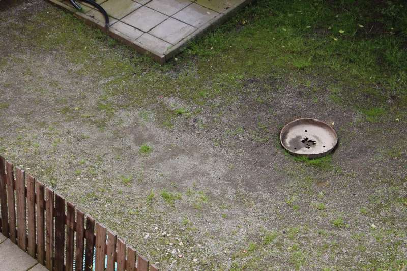 BAU.DE / BAU-Forum: 1. Bild zu Frage "Löcher Hofeinfahrt Splitt schließen" im BAU-Forum "Rund um den Garten" BAU.DE / BAU-Forum: 1. Bild zu Frage "Löcher Hofeinfahrt Splitt schließen" im BAU-Forum "Rund um den Garten"