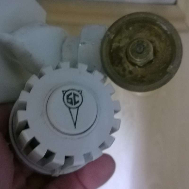 BAU.DE / BAU-Forum: 1. Bild zu Frage "Heizk&ouml;rper Thermostat" im BAU-Forum "Heizung / Warmwasser"