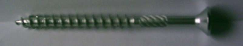 BAU.DE / BAU-Forum: 1. Bild zu Frage "Holzschraube mit Schraubnagelgewinde am Schaft &nbsp;-&nbsp; was kann das sein?" im BAU-Forum "Holzbau"