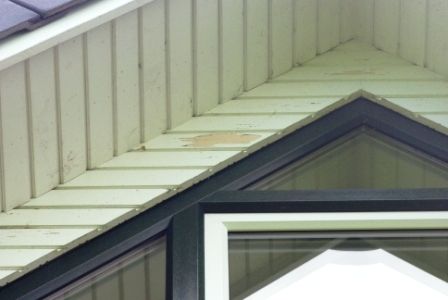 BAU.DE / BAU-Forum: 1. Bild zu Antwort "Ja, Nut und Feder. Im Werkvertrag steht: "Die Unterschl&auml;ge sind..." auf die Frage "Farbe bl&auml;ttert an Giebelverkleidung ab: Ursachen, Sanierung & Gew&auml;hrleistung?" im BAU-Forum "Holzschutz, Holzsch&auml;den, Holzsanierung"