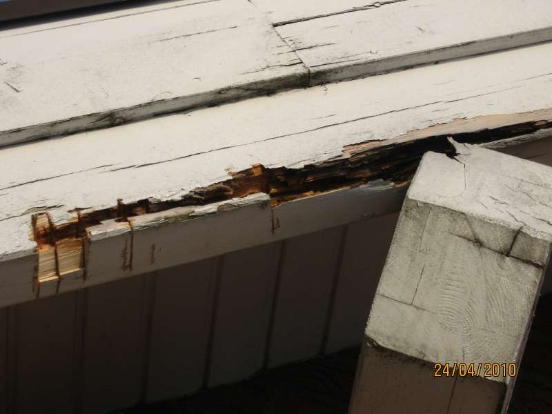 BAU.DE / BAU-Forum: 1. Bild zu Frage "12 Jahre alte Pfetten und Sparren faulen an der Wetterseite" im BAU-Forum "Holzschutz, Holzsch&auml;den, Holzsanierung"