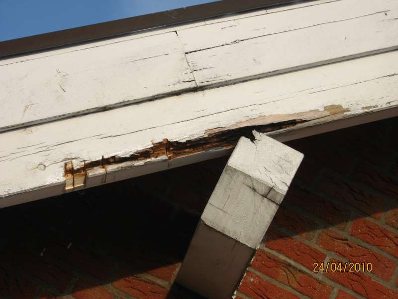 BAU.DE / BAU-Forum: 3. Bild zu Frage "12 Jahre alte Pfetten und Sparren faulen an der Wetterseite" im BAU-Forum "Holzschutz, Holzsch&auml;den, Holzsanierung"