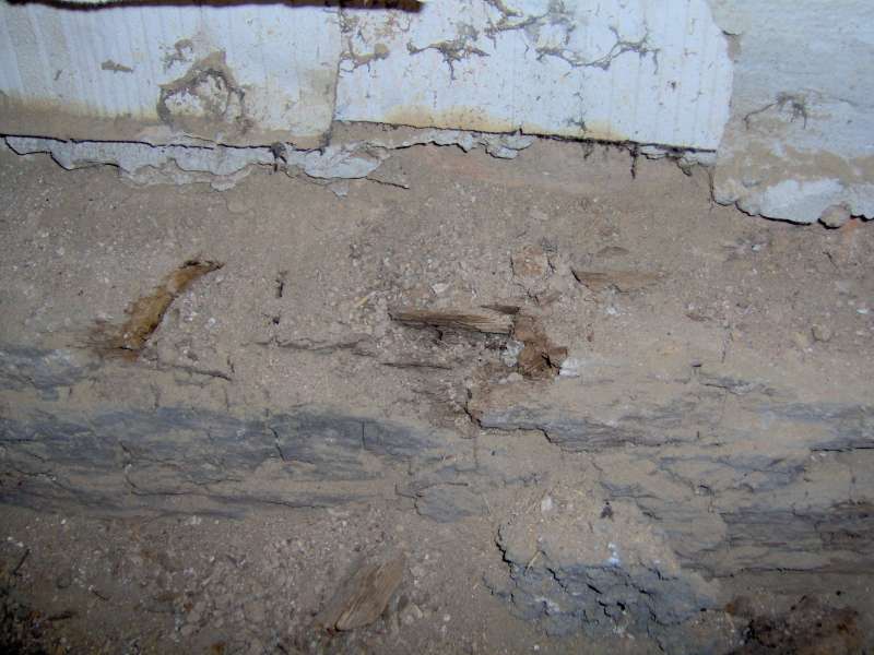 BAU.DE / BAU-Forum: 2. Bild zu Frage "Vom Auftragnehmer nicht realisierter W&uuml;rfelbruch und Sch&auml;dlingsbefall bei Sanierung" im BAU-Forum "Holzschutz, Holzsch&auml;den, Holzsanierung"