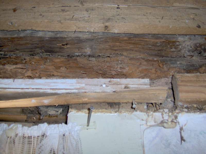 BAU.DE / BAU-Forum: 3. Bild zu Frage "Vom Auftragnehmer nicht realisierter W&uuml;rfelbruch und Sch&auml;dlingsbefall bei Sanierung" im BAU-Forum "Holzschutz, Holzsch&auml;den, Holzsanierung"