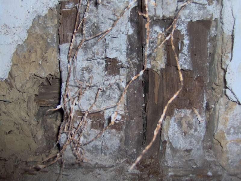 BAU.DE / BAU-Forum: 4. Bild zu Frage "Vom Auftragnehmer nicht realisierter W&uuml;rfelbruch und Sch&auml;dlingsbefall bei Sanierung" im BAU-Forum "Holzschutz, Holzsch&auml;den, Holzsanierung"