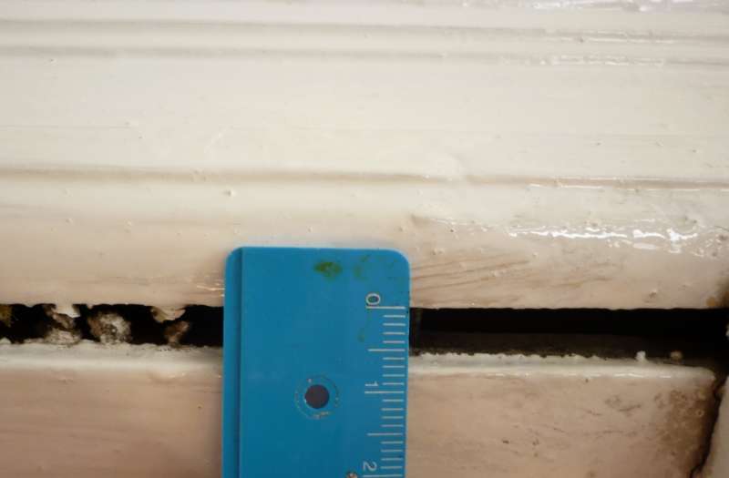 BAU.DE / BAU-Forum: 2. Bild zu Frage "T&uuml;rzarge in Altbau restaurieren (T&uuml;rzarge hat einen Spalt)" im BAU-Forum "Holzschutz, Holzsch&auml;den, Holzsanierung"