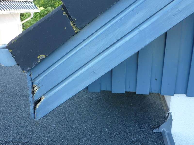 BAU.DE / BAU-Forum: 2. Bild zu Frage "Giebelkasten fault" im BAU-Forum "Holzschutz, Holzsch&auml;den, Holzsanierung"