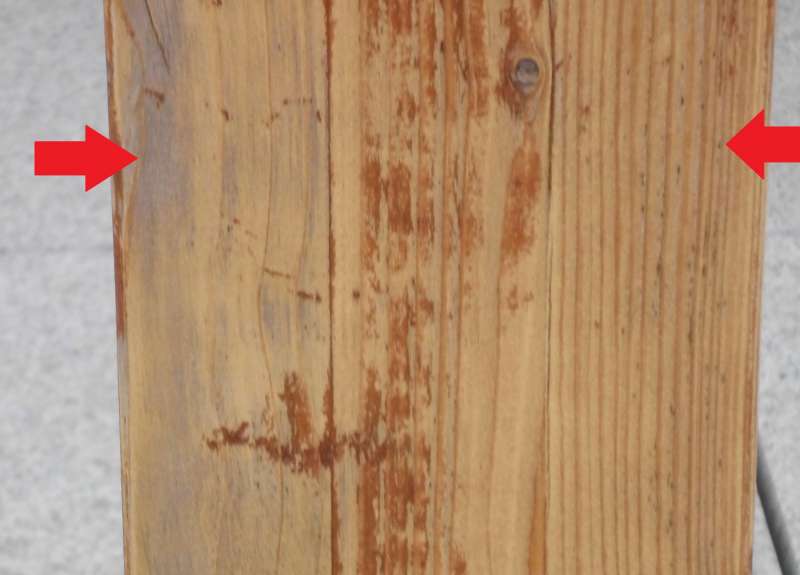 BAU.DE / BAU-Forum: 2. Bild zu Frage "Pilz o.&auml;. im Holz?" im BAU-Forum "Holzschutz, Holzsch&auml;den, Holzsanierung"