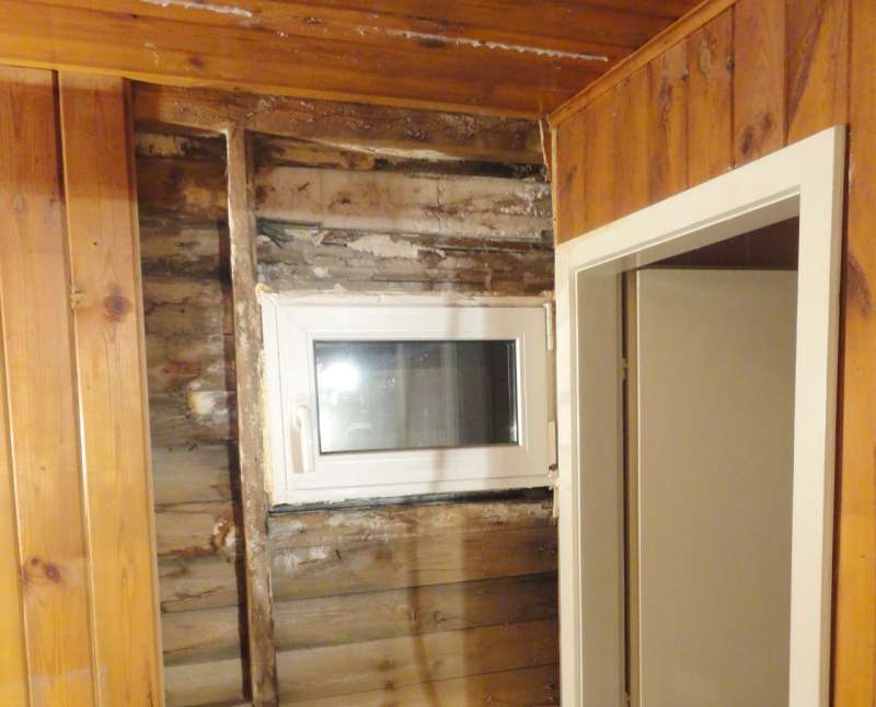 BAU.DE / BAU-Forum: 1. Bild zu Frage "Feuchteschaden / Pilz. Welcher und Beseitigung?" im BAU-Forum "Holzschutz, Holzsch&auml;den, Holzsanierung"