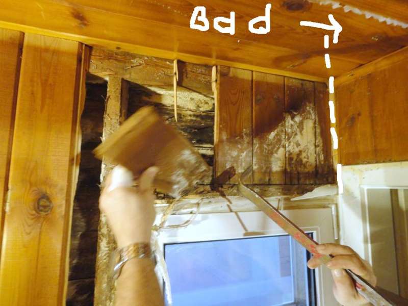 BAU.DE / BAU-Forum: 2. Bild zu Frage "Feuchteschaden / Pilz. Welcher und Beseitigung?" im BAU-Forum "Holzschutz, Holzsch&auml;den, Holzsanierung"