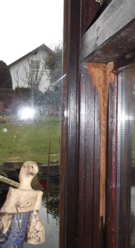 BAU.DE / BAU-Forum: 3. Bild zu Frage "Schaden Holz Wintergarten" im BAU-Forum "Holzschutz, Holzsch&auml;den, Holzsanierung"