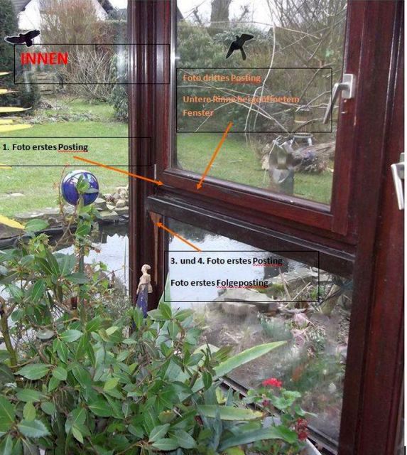 BAU.DE / BAU-Forum: 1. Bild zu Antwort "Gesamtansicht" auf die Frage "Holzschaden im Wintergarten: Ursachen erkennen, bek&auml;mpfen & Bausubstanz sichern" im BAU-Forum "Holzschutz, Holzsch&auml;den, Holzsanierung"