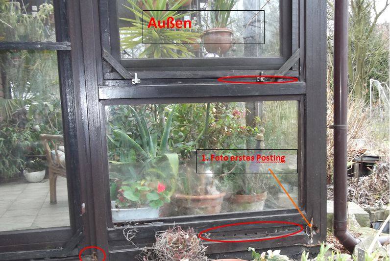 BAU.DE / BAU-Forum: 2. Bild zu Antwort "Gesamtansicht" auf die Frage "Holzschaden im Wintergarten: Ursachen erkennen, bek&auml;mpfen & Bausubstanz sichern" im BAU-Forum "Holzschutz, Holzsch&auml;den, Holzsanierung"