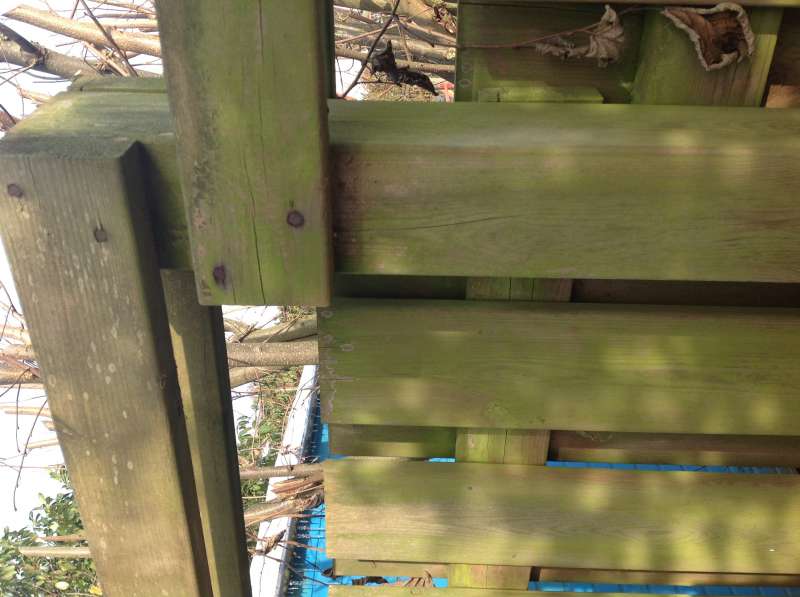 BAU.DE / BAU-Forum: 1. Bild zu Frage "Zaunsanierung &nbsp;-&nbsp; m&ouml;chte vergr&uuml;ntern Holzzaun schonend aufarbeiten" im BAU-Forum "Holzschutz, Holzsch&auml;den, Holzsanierung"