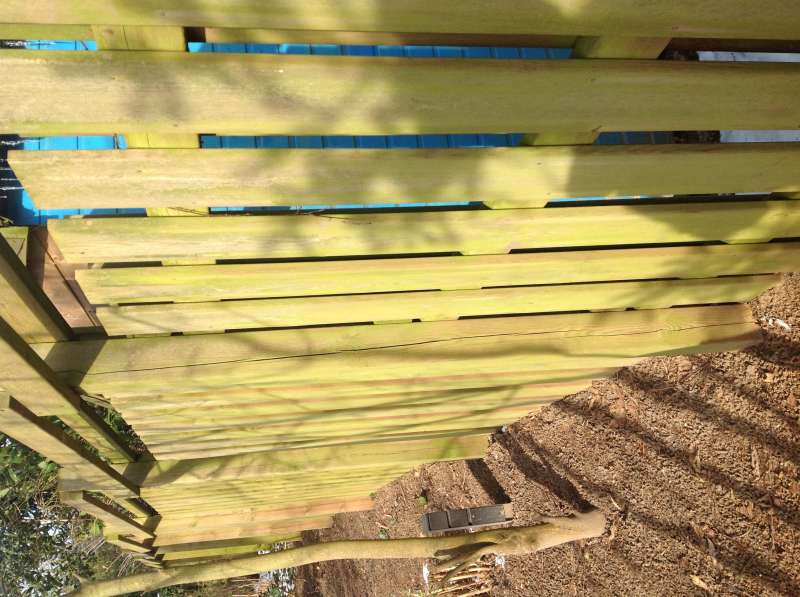 BAU.DE / BAU-Forum: 2. Bild zu Frage "Zaunsanierung &nbsp;-&nbsp; m&ouml;chte vergr&uuml;ntern Holzzaun schonend aufarbeiten" im BAU-Forum "Holzschutz, Holzsch&auml;den, Holzsanierung"