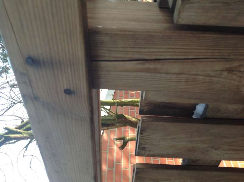 BAU.DE / BAU-Forum: 3. Bild zu Frage "Zaunsanierung &nbsp;-&nbsp; m&ouml;chte vergr&uuml;ntern Holzzaun schonend aufarbeiten" im BAU-Forum "Holzschutz, Holzsch&auml;den, Holzsanierung"