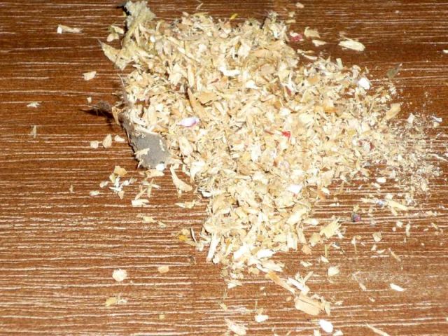 BAU.DE / BAU-Forum: 2. Bild zu Frage "Wer frisst meine Holzbalkendecke?" im BAU-Forum "Holzschutz, Holzsch&auml;den, Holzsanierung"