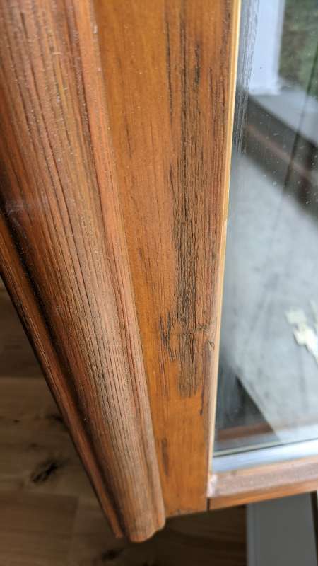 BAU.DE / BAU-Forum: 1. Bild zu Frage "Holzfenster Sanierung: Grobporiges Holz, Anstrich &ndash; Ist die Ausf&uuml;hrung in Ordnung?" im BAU-Forum "Holzschutz, Holzsch&auml;den, Holzsanierung"