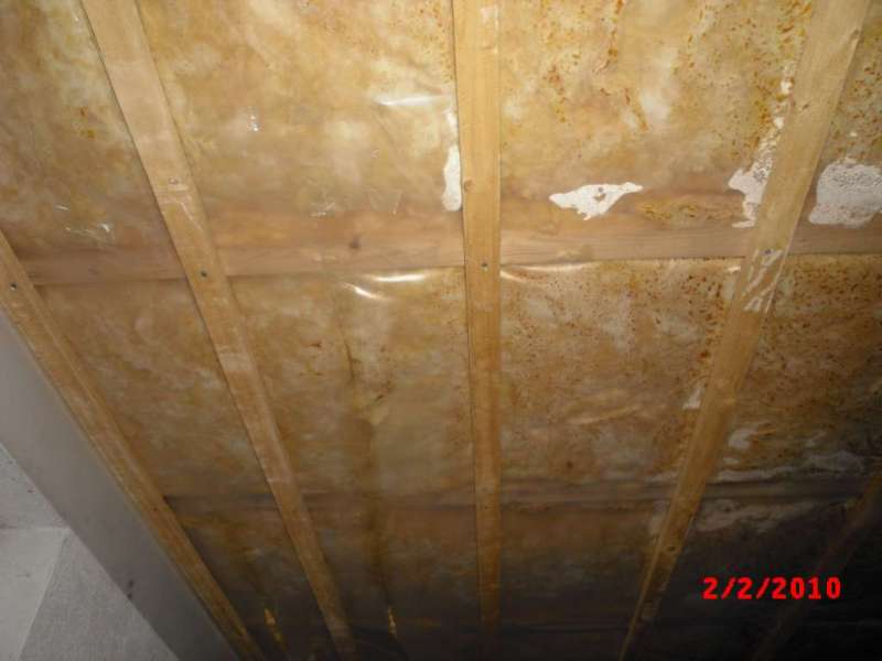 BAU.DE / BAU-Forum: 2. Bild zu Antwort "Feuchtigkeit Kellerdecke: Bilder zur Schadensanalyse" auf die Frage "Feuchtigkeit in Kellerdeckend&auml;mmung: Ursachen, Folgen & Sanierung bei Glasfaserwolle?" im BAU-Forum "Innenw&auml;nde"