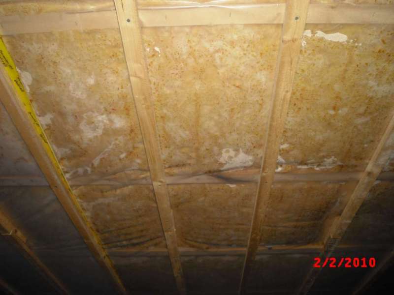 BAU.DE / BAU-Forum: 5. Bild zu Antwort "Feuchtigkeit Kellerdecke: Bilder zur Schadensanalyse" auf die Frage "Feuchtigkeit in Kellerdeckend&auml;mmung: Ursachen, Folgen & Sanierung bei Glasfaserwolle?" im BAU-Forum "Innenw&auml;nde"