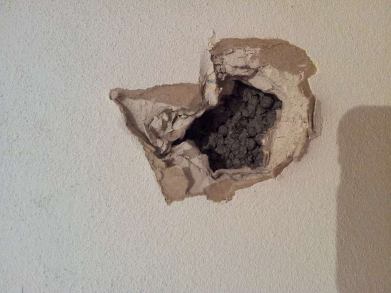 BAU.DE / BAU-Forum: 1. Bild zu Frage "Was f&uuml;r Material ist in dieser Trennwand?" im BAU-Forum "Innenw&auml;nde"