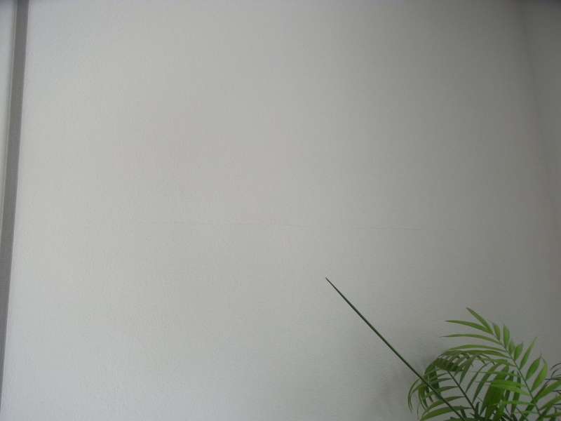 BAU.DE / BAU-Forum: 1. Bild zu Frage "Risse bzw. W&uuml;lste am Kalk-Innenputz" im BAU-Forum "Innenw&auml;nde"