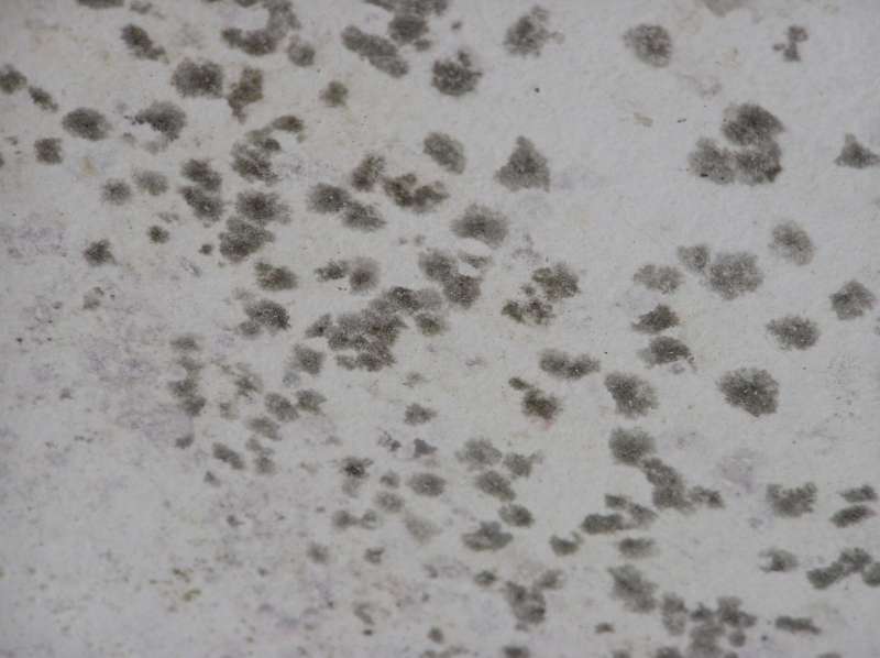 BAU.DE / BAU-Forum: 2. Bild zu Frage "Ist das Schimmel? Wenn ja, wie entferne ich diesen von der Wand bzw. Decke?" im BAU-Forum "Innenw&auml;nde"