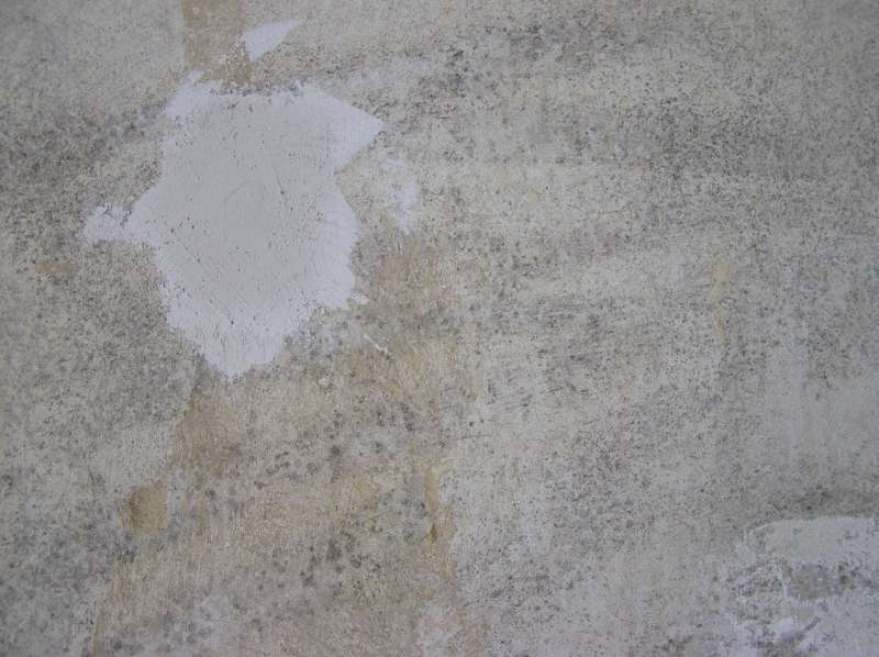 BAU.DE / BAU-Forum: 5. Bild zu Frage "Ist das Schimmel? Wenn ja, wie entferne ich diesen von der Wand bzw. Decke?" im BAU-Forum "Innenw&auml;nde"