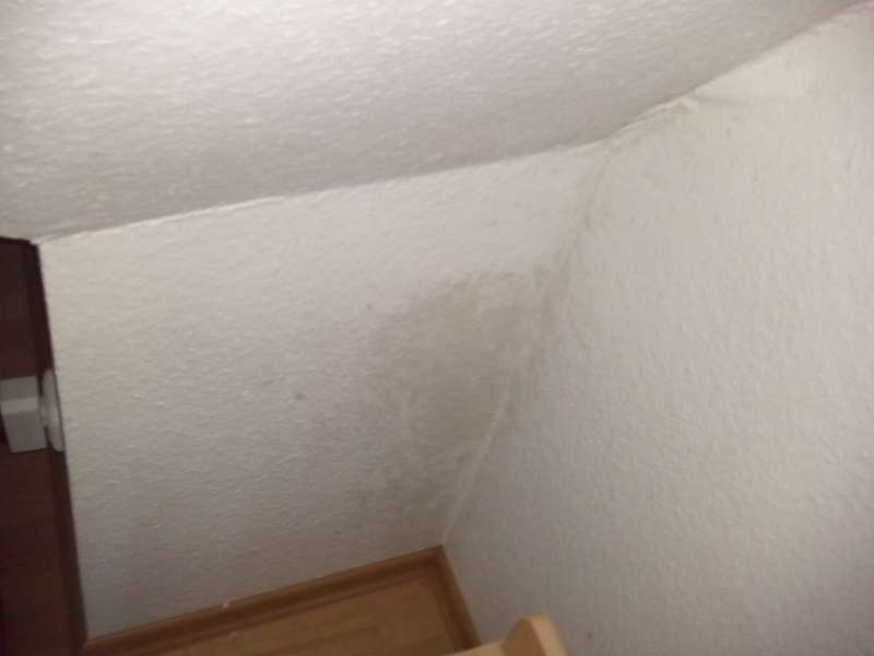 BAU.DE / BAU-Forum: 4. Bild zu Frage "Nasse Ecken/Kanten Innenwand DG zur Au&szlig;enwand" im BAU-Forum "Innenw&auml;nde"