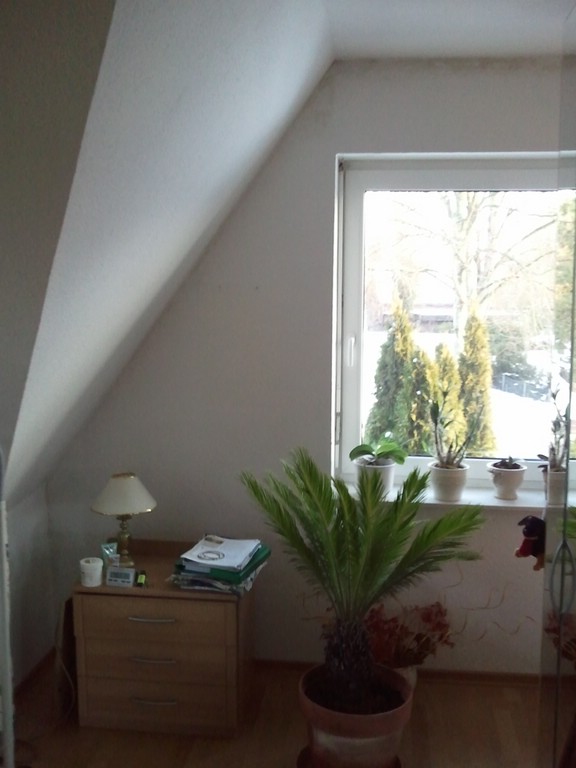 BAU.DE / BAU-Forum: 5. Bild zu Frage "Nasse Ecken/Kanten Innenwand DG zur Au&szlig;enwand" im BAU-Forum "Innenw&auml;nde"