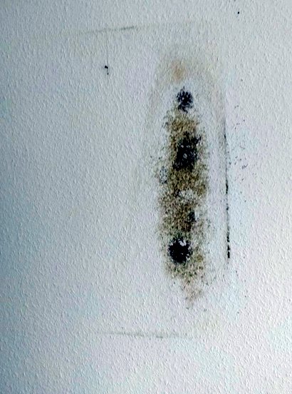 BAU.DE / BAU-Forum: 2. Bild zu Antwort "Erg&auml;nzung" auf die Frage "Schimmel hinter Bilderrahmen: Ursachen, Gefahren & Sanierung in Neubauwohnung?" im BAU-Forum "Innenw&auml;nde"